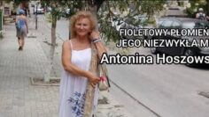 [ID: -3zlNwJuhro] Youtube Automatic