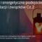 [ID: Gso_yYEsGKI] Youtube Automatic