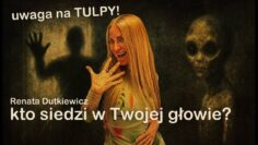 [ID: lx_PnsVmuys] Youtube Automatic